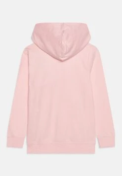 Friboo -Friboo c74202b7439e421893736cf1a657e504